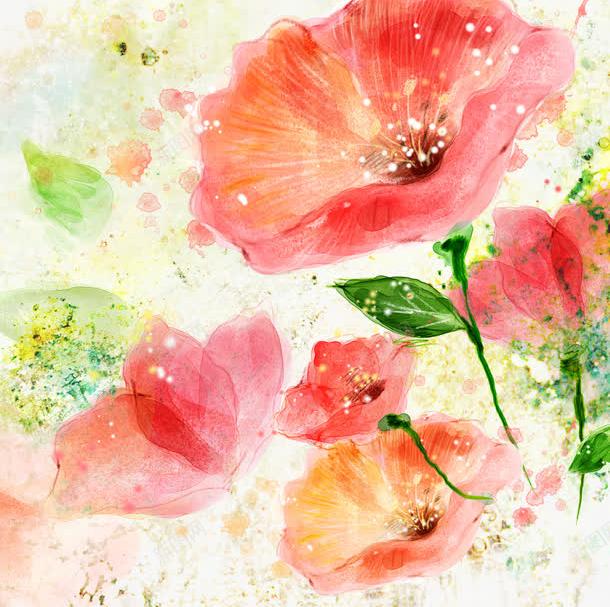 手绘红色牵牛花背景png免抠素材_新图网 https://ixintu.com 手绘 牵牛花 素材 红色 背景