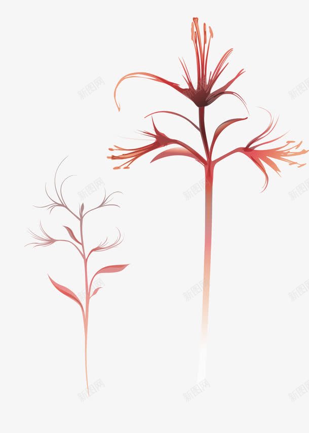 花束花卉png免抠素材_新图网 https://ixintu.com 底纹 矢量花卉 矢量花束 粉色花形 花朵 花树 花纹 角花 边花