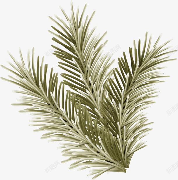 小清新绿色小草png免抠素材_新图网 https://ixintu.com 小清新小草 水彩 简约枝条 绿色小草 绿色松叶 黑色枝条