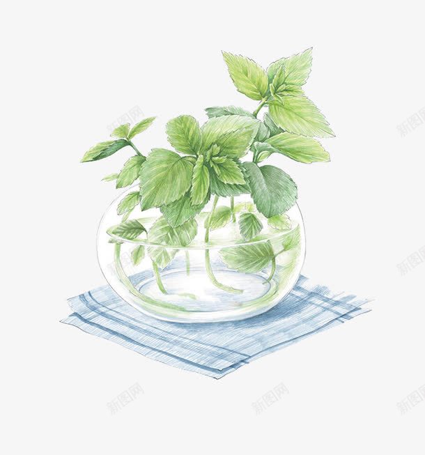 花瓶png免抠素材_新图网 https://ixintu.com 树 水瓶 花瓶