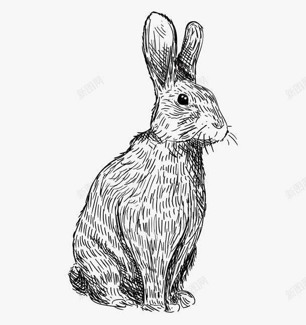 萌萌的黑白可爱兔子手绘素描矢量图ai免抠素材_新图网 https://ixintu.com 兔子 兔子下载 动物手绘 可爱 手绘兔子 矢量手绘 萌 萌萌的黑白可爱兔子手绘素描矢量下载免费下载 黑白 矢量图