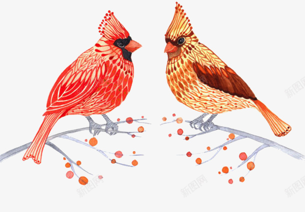 水彩动物成双成对手绘插画png免抠素材_新图网 https://ixintu.com 动物 成双成对 手绘 插画 水彩 鸟类
