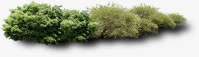 绿树园林清新植物png免抠素材_新图网 https://ixintu.com 园林 植物 清新 绿树