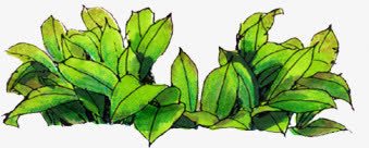 创意漫画合成效果植物png免抠素材_新图网 https://ixintu.com 创意 合成 效果 植物 漫画