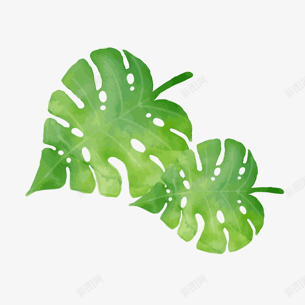 小清新绿色叶子png免抠素材_新图网 https://ixintu.com 卡通植物 叶子植物 小清新 绿色叶子 背景装饰