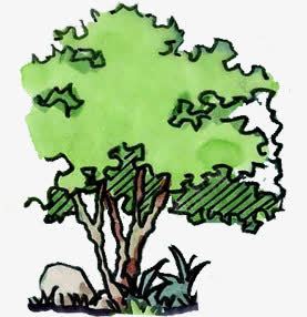 手绘绿色公园景观树png免抠素材_新图网 https://ixintu.com 公园 景观 绿色