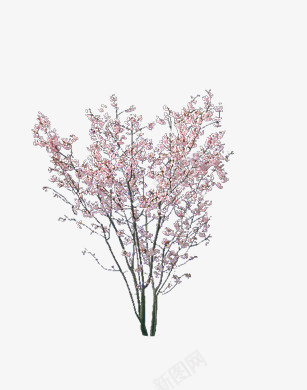 开花的树植物png免抠素材_新图网 https://ixintu.com 开花 树 植物