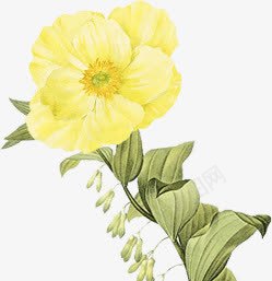 花黄色花朵手绘黄花png免抠素材_新图网 https://ixintu.com 手绘 花朵 黄色 黄花