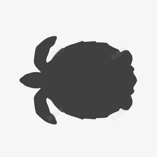 濒危海龟乌龟vectortown濒危物种png免抠素材_新图网 https://ixintu.com Endangered sea turtle 乌龟 海龟 濒危