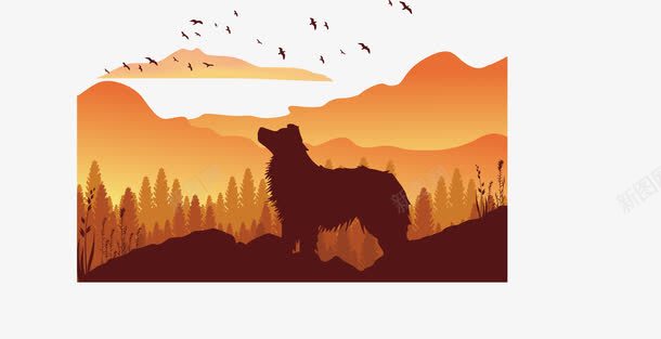 日落的边境牧羊犬png免抠素材_新图网 https://ixintu.com 日落 牧羊犬 边境