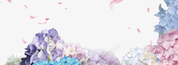 实物花朵装饰背景png免抠素材_新图网 https://ixintu.com 梦幻 紫色 花朵