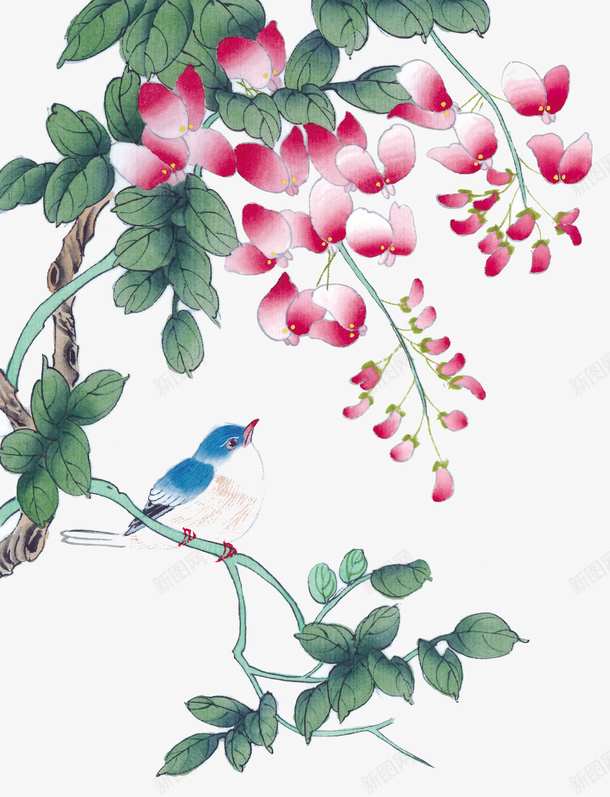 花下的喜鹊png免抠素材_新图网 https://ixintu.com 兰花 喜雀 的喜鹊 花下 花朵 花瓣 蹄叫的喜鹊