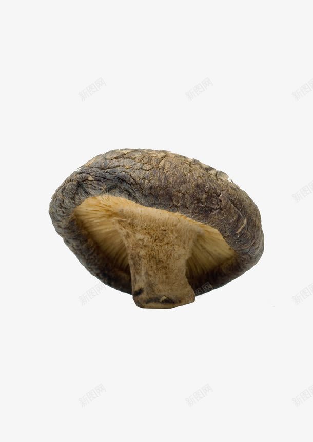 干蘑菇png免抠素材_新图网 https://ixintu.com 干货 蘑菇 食物