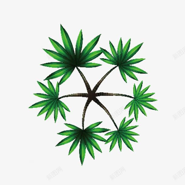 俯视树棕榈树png免抠素材_新图网 https://ixintu.com 俯视树 树俯视 树顶 棕榈树 海报设计