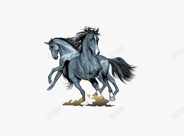蓝色两匹骏马png免抠素材_新图网 https://ixintu.com 两匹骏马 矢量骏马 蓝色骏马 马