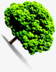 绿色清新树木倾斜png免抠素材_新图网 https://ixintu.com 倾斜 树木 清新 绿色