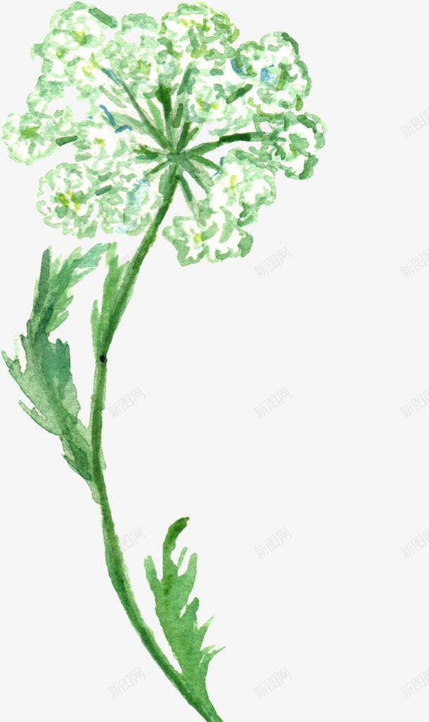 清新水彩植物png免抠素材_新图网 https://ixintu.com 树叶 植物 清新 绿色
