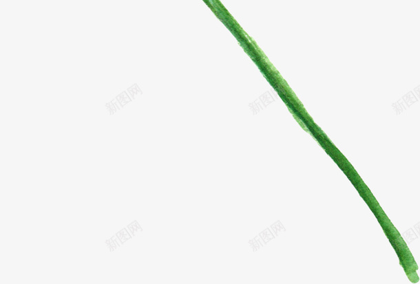 清新水彩植物png免抠素材_新图网 https://ixintu.com 树叶 植物 清新 绿色