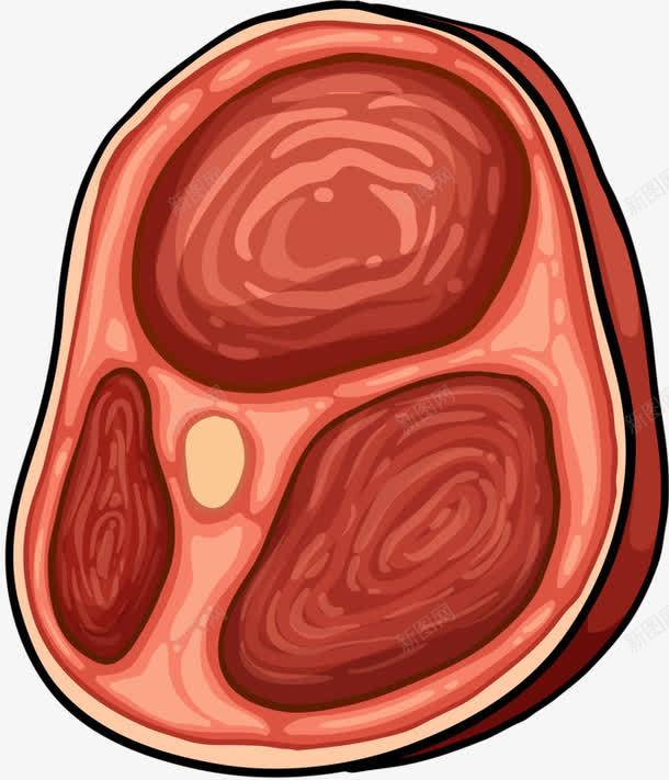 好吃的腊肉png免抠素材_新图网 https://ixintu.com 手绘 红色 腊肉 逼真