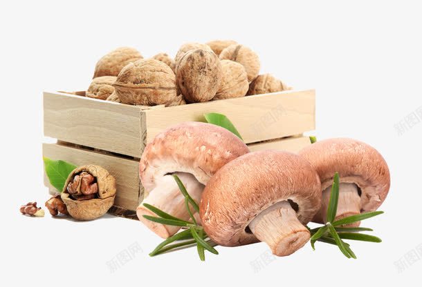 蘑菇和核桃png免抠素材_新图网 https://ixintu.com 木框 核桃 蘑菇 食物