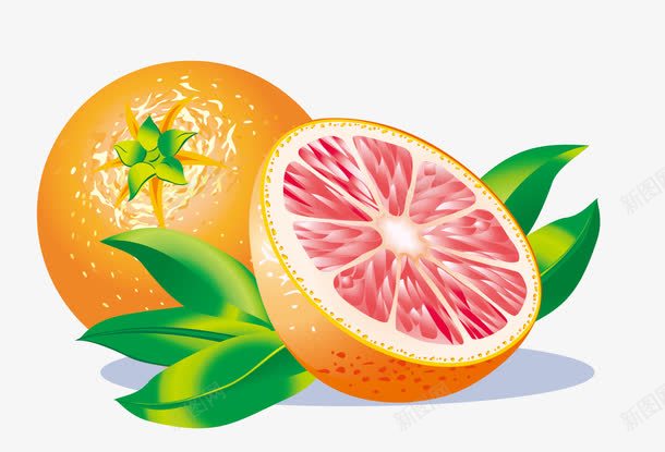 柚子png免抠素材_新图网 https://ixintu.com 切开的柚子 新鲜的柚子 橙子 水果 矢量柚子