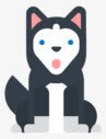 平面哈士奇狗png免抠素材_新图网 https://ixintu.com 动物 哈士奇 平面设计 手绘哈士奇 狗