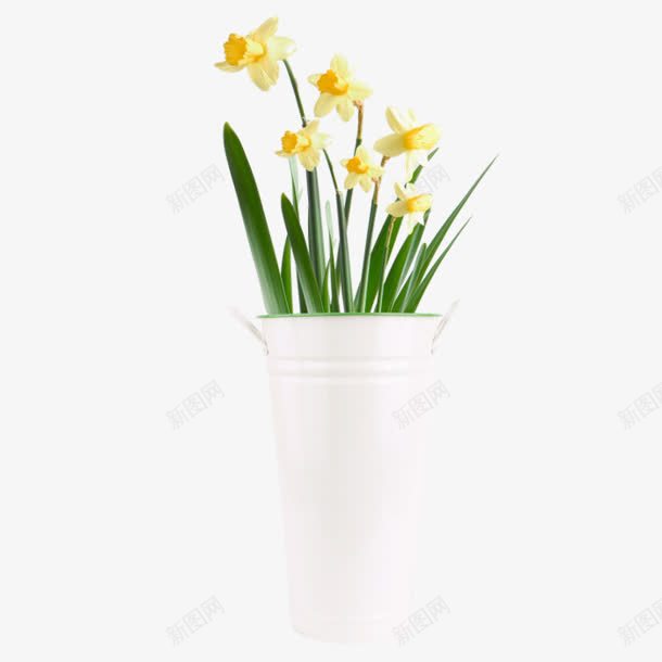 喷金钟的绿草黄花png免抠素材_新图网 https://ixintu.com 绿草 金钟 黄花