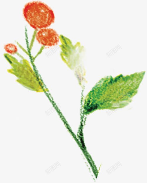 创意彩绘风格草本植物png免抠素材_新图网 https://ixintu.com 创意 彩绘 草本植物 风格