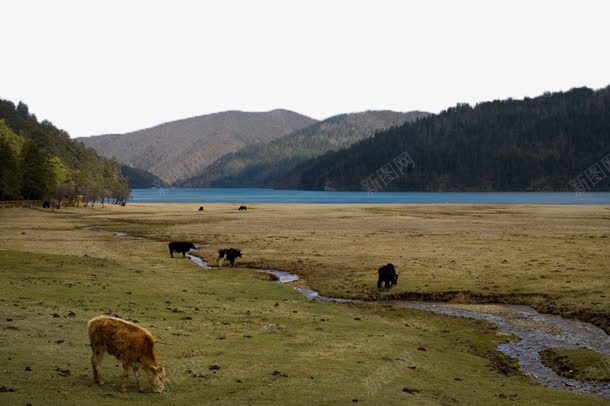 云南旅游风景三十四png免抠素材_新图网 https://ixintu.com 云南 旅游 景点 著名 风景