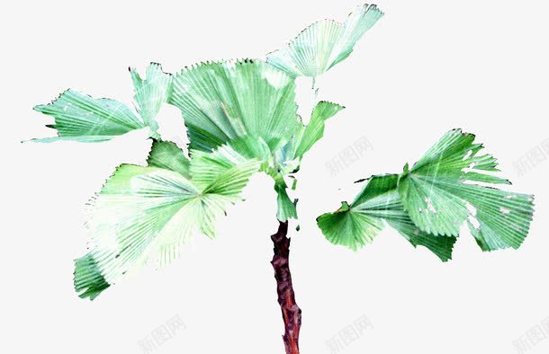 风景园林绿化效果元素风景树png免抠素材_新图网 https://ixintu.com 植物 灌木 绿化 风景树