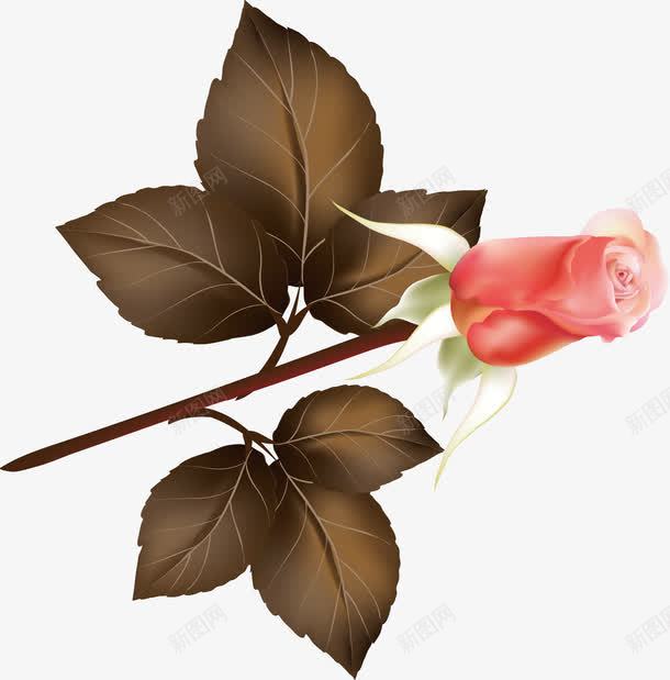 花朵一朵树叶枯叶png免抠素材_新图网 https://ixintu.com 一朵 枯叶 树叶 花朵