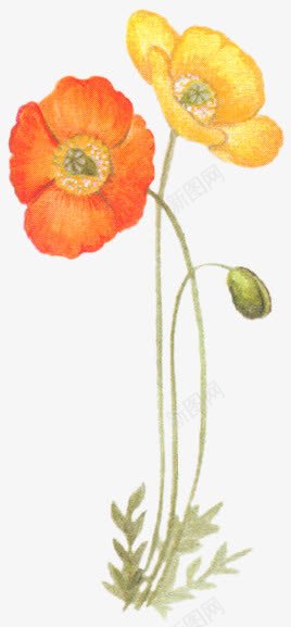 手绘墨迹花朵红色花朵黄色花朵png免抠素材_新图网 https://ixintu.com 墨迹 手绘 红色 花朵 黄色