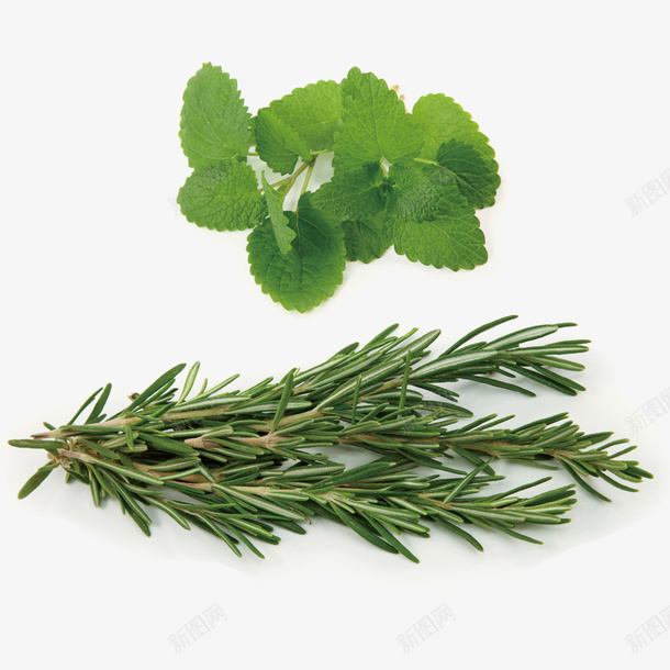 叶子草药图标psd_新图网 https://ixintu.com 中国风 中国风草药 中国风草药logo 中国风草药植物 树叶 草药