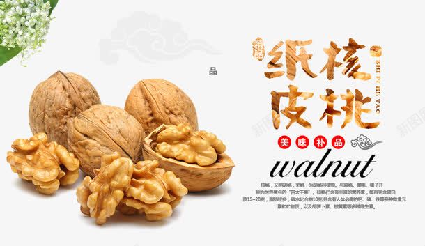 纸皮核桃png免抠素材_新图网 https://ixintu.com 产品实物 核桃 核桃仁 补脑圣品