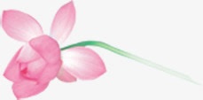 半开荷花七夕情人节海报背景png免抠素材_新图网 https://ixintu.com 七夕 半开 情人节 海报 背景 荷花