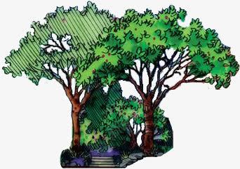 手绘绿色公园休憩png免抠素材_新图网 https://ixintu.com 休憩 公园 绿色