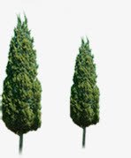 园林春天绿化植物png免抠素材_新图网 https://ixintu.com 园林 春天 植物 绿化