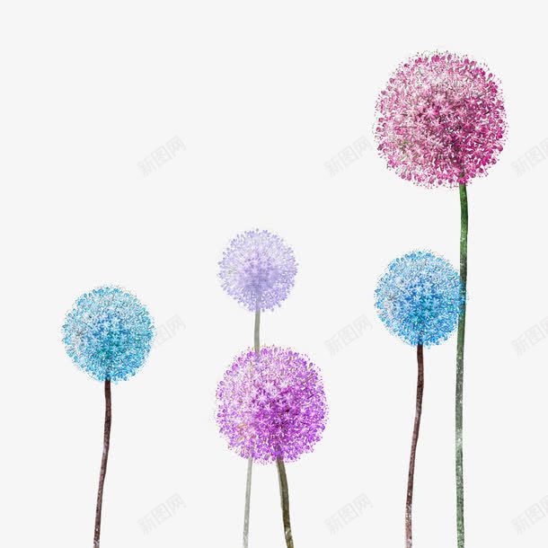 手绘蒲公英psd免抠素材_新图网 https://ixintu.com 手绘 手绘鲜花素材 花 蒲公英 鲜花