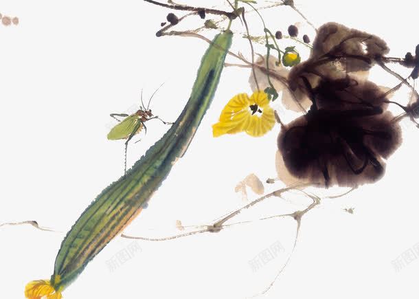 国画丝瓜瓜藤png免抠素材_新图网 https://ixintu.com 手绘丝瓜 瓜藤 绿色瓜藤
