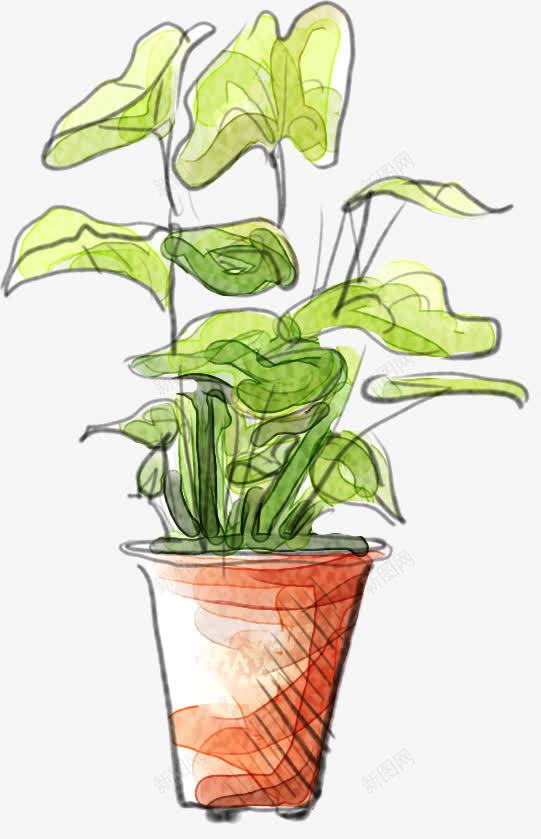 手绘绿色植物线条png免抠素材_新图网 https://ixintu.com 线条 绿色植物