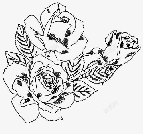 素描玫瑰花png免抠素材_新图网 https://ixintu.com 含苞待放 开放 玫瑰纹身 玫瑰花 素描