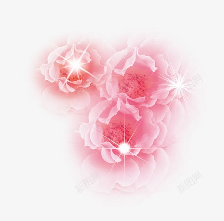 花玫瑰花粉色淘宝png免抠素材_新图网 https://ixintu.com 花玫瑰花粉色淘宝