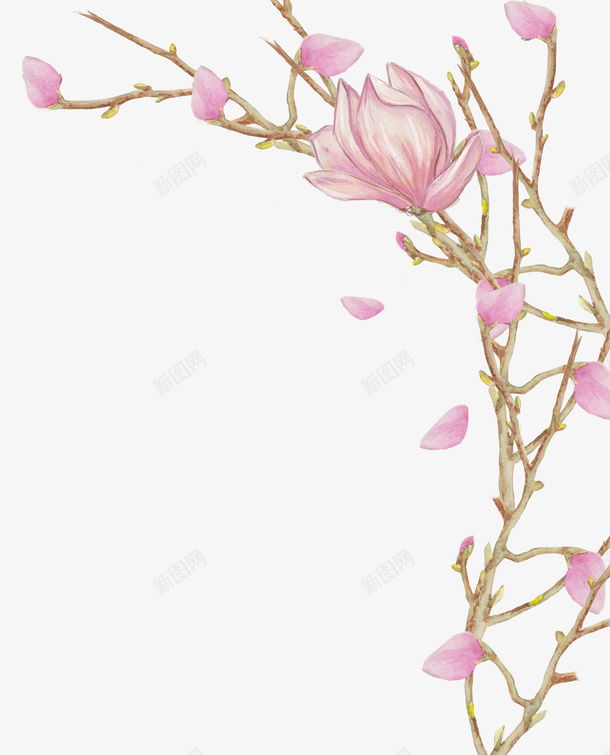 手绘植物花卉png免抠素材_新图网 https://ixintu.com 彩绘花 彩绘花卉 手绘 手绘植物花卉 手绘花 花卉装饰 花朵手绘