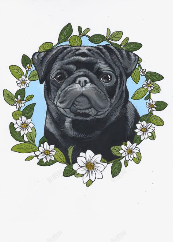 卡通沙皮犬png免抠素材_新图网 https://ixintu.com 宠物狗 手绘沙皮犬 沙皮 沙皮犬插画 黑色沙皮犬