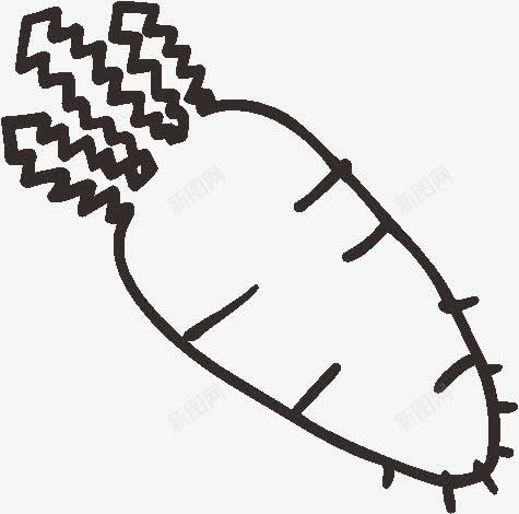 手绘萝卜可爱生活蔬菜png免抠素材_新图网 https://ixintu.com 可爱 手绘 生活 萝卜 蔬菜