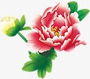 中秋节手绘彩色九月菊png免抠素材_新图网 https://ixintu.com 中秋节 九月 彩色