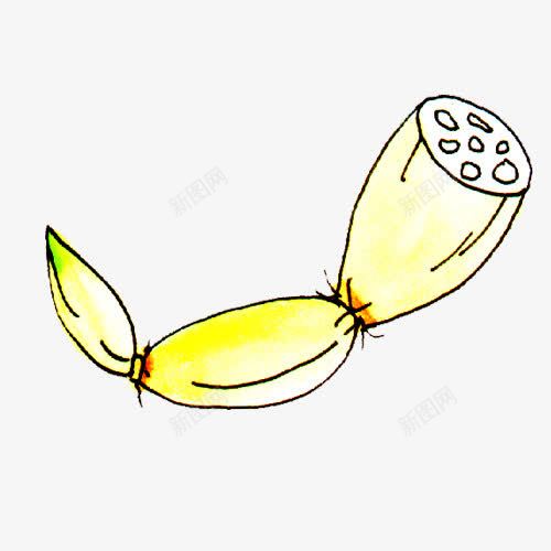 手绘莲藕png免抠素材_新图网 https://ixintu.com PNG图形 PNG装饰 手绘 莲藕 蔬菜 装饰