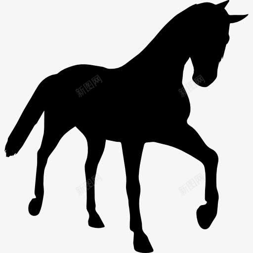 年轻的黑色剪影马透视图标png_新图网 https://ixintu.com 动物 动物的轮廓 形状 视角 轮廓 马 黑色