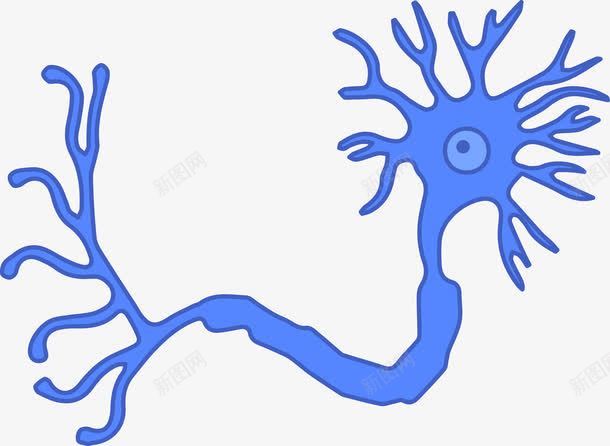 显微镜下的细胞分裂图png免抠素材_新图网 https://ixintu.com 显微镜 生物医疗 生物学 生物研究 真菌 细胞 细胞高清大图 细菌 蛋白质细胞