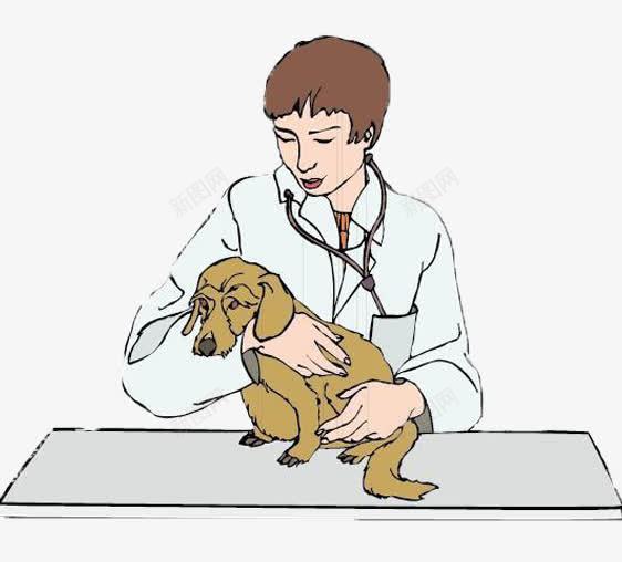 人和宠物医生治疗狗狗png免抠素材_新图网 https://ixintu.com 人和宠物 医生 朋友 治疗 狗狗 趴在桌子上得宠物 黄色的狗狗